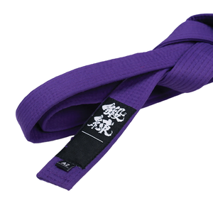 Ceinture d'arts martiaux personnalisée en polyester et coton, ceintures de rangement pour BJJ, karaté, taekwondo, judo, équipement d'entraînement, équipement sportif de haute qualité - Product Image 6
