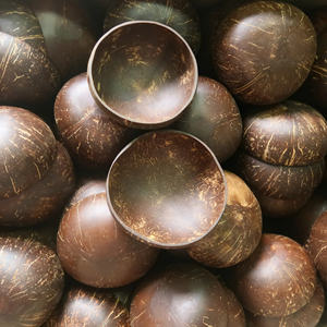 Bol en noix de coco écologique recouvert de plastique Vietchoice, design riche et rustique, naturel, tendance, multifonctionnel, bol de service - Product Image 3