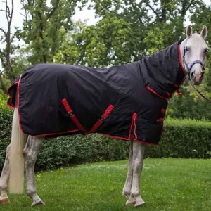 2026 Comfortable Fit Horse Riding <b>Rugs</b> High Quality Horse Riding <b>Rugs</b> Lightweight Design For Everyday Use - Product Image 5