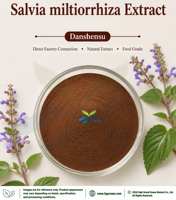 Fourniture directe d'usine HGO d'extrait de Salvia miltiorrhiza naturel pur (qualité alimentaire santé) spécification Danshensu 5% - 20%