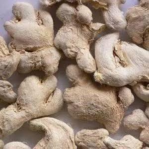 High Quality <b>Ginger</b> Slices Dried for Tea and Herbal Products - Product Image 2
