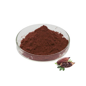 100% Natural Cocoa Powder Pure Herbal Food Grade Cocoa Powder Ingredient for Beverage Smoothie & Bakery Bulk Supplier from India - Product Image 3