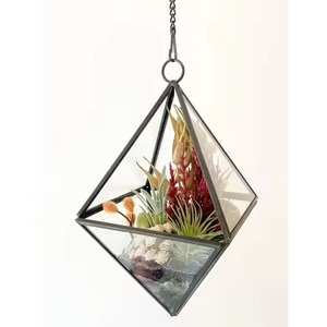 Trend Display Metal Terrarium Glass Planter Elegant Indoor Plant Case Stylish Home Decor - Product Image 1