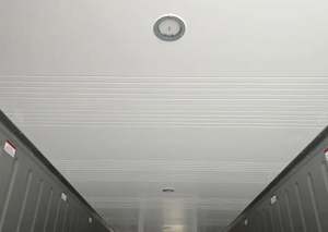 Conteneur frigorifique High-Cube neuf de 40 pieds à vendre à bas prix - Product Image 4