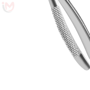 Forceps d'extraction manuels ergonomiques en acier inoxydable, modèle anglais, instruments dentaires - Product Image 3