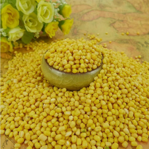 Nueva temporada de moong dal (gramo verde indio) para exportación, venta al por mayor y suministro a granel para mercados internacionales de ingredientes alimenticios. - Product Image 2