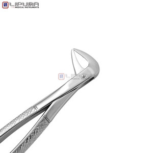 Pinzas de Extracción Tipo Berten PLUS 74 de Calidad Premium, Instrumento Quirúrgico Dental de Acero Inoxidable Alemán para Extracción de Dientes - Product Image 4