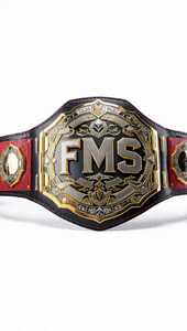 Professional Custom FMS Championship Belt Lightweight Eco-Friendly Durable Leather Boxing Fighting Kickboxing Martial Arts FITME - Product Image 2