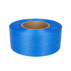 THANH BINH TOP SELLER Fleje de Plástico PP (Polipropileno) de Alta Calidad Nuevo OEM/ODM Longitud Personalizable TB1208 0.5-0.9mm - Product Image 2