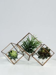 New Product Distributor Wanted Metal <b>Stands</b> Glass Terrarium <b>Vase</b> for Home Decor Interior Decorating - Product Image 2