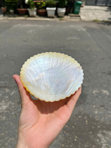 จานเปลือกหอยมุกขัดเงาคุณภาพพรีเมียม สำหรับตกแต่งบ้านหรูหรา - ราคาขายส่ง - Product Image 6