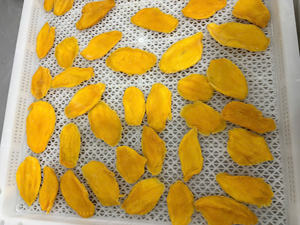 Mango Deshidratado Premium AD, Snack Dulce Deshidratado, Empaque al Vacío a Granel, Origen Vietnam - Product Image 2