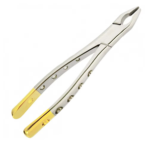 Forceps d'extraction dentaire plaqués or pour interventions buccales, fabriqués à la main et certifiés CE par SUBJECT OF SURGICAL - Product Image 5