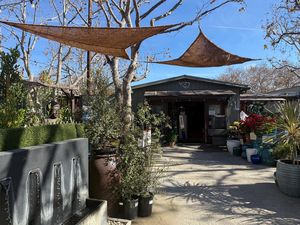 ผ้าใบกันแดดใยมะพร้าวถัก หนา 4-5 มม. เป็นมิตรกับสิ่งแวดล้อม สำหรับสวนและลานบ้าน ป้องกันแสงแดด - Product Image 6