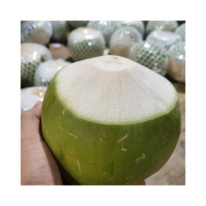 Proveedor a Granel de Coco Fresco Natural Joven en Botón, Vietnam, Carne de Coco de Grado Alimenticio - Product Image 1
