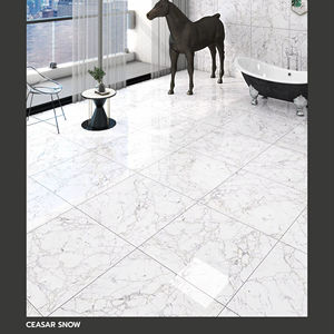 Azulejos de porcelana de corte preciso de 600X600MM fabricados para una colocación uniforme con mínima desviación y para pisos interiores profesionales. - Product Image 1