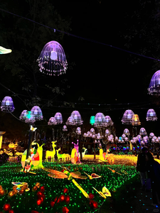 Праздничные светодиодные уличные фонари с рождественским мотивом для декоративного оформления Дивали и Нового года - Product Image 4