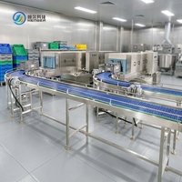 Fournisseur chinois fiable de solutions d'équipements de nettoyage : Ligne de lavage de paniers et de caisses continue pour l'industrie agroalimentaire
