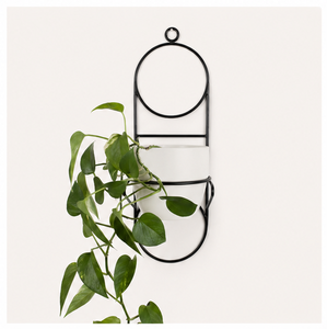 Jardinière murale moderne minimaliste en métal blanc avec cadre en métal noir, style vintage, pot de jardin pour plantes succulentes d'intérieur - Product Image 1