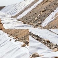 Tissu géotextile non tissé pour l'ingénierie environnementale, couche de protection des sols aiguilletée, matériau de traitement des déchets