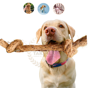 Jouet à mâcher en fibre de coco non toxique et écologique pour chiens Design durable et biodégradable pour la vente en gros - Product Image 2