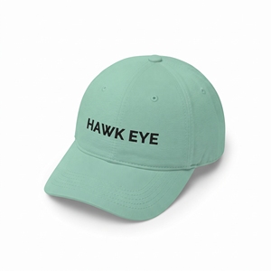 Casquette de baseball en coton à 6 panneaux Hawk Eye, réglable, unisexe, décontractée, avec logo imprimé sur le devant, vert menthe - Product Image 1