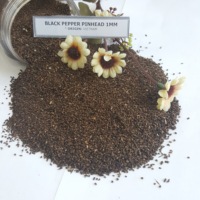 Poivre noir du Vietnam de qualité supérieure : FAQ, Nettoyé, Grains de 1 mm, Sans coquille - Épices VILACONIC pour l'exportation (Joice)