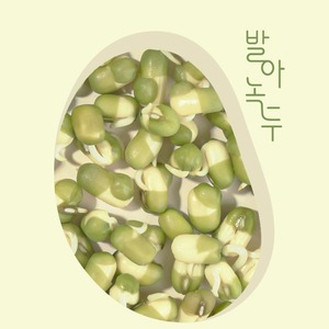 Korea K-Beauty 100ml Herbal Skincare Set with 3pcs Mung Bean Sprout Toner Emulsion Cream <b>Face</b> Moisturizer - Product Image 5