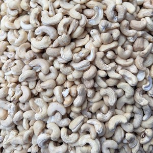 Proveedor Confiable de Nueces de Anacardo de Vietnam, Nueces de Anacardo Orgánicas, Nueces de Anacardo WW320 WW240 de Santigo, Vietnam - Product Image 1