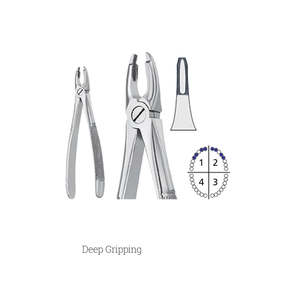 Pinzas de Extracción Manuales de Acero Inoxidable de Alta Calidad Profesional para Incisivos Superiores y Caninos, Instrumento Quirúrgico Dental de Dentavex - Product Image 4