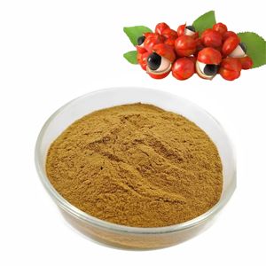 Extrait de Guarana Premium 10:1 en poudre, 100% naturel, qualité alimentaire, pour l'énergie quotidienne, la concentration et la vitalité naturelle - Product Image 3