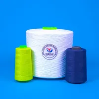 Fil à broder 100 % polyester blanc brut 52/2 écologique pour la production de fils de couture, vêtements, textiles et denim