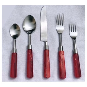 2026 <b>Hot</b> Selling <b>18</b>/10 Stainless Steel Flatware Set With Resin Handle Latest Design Matt Polish Wedding Cutlery Place Setting - Product Image 1