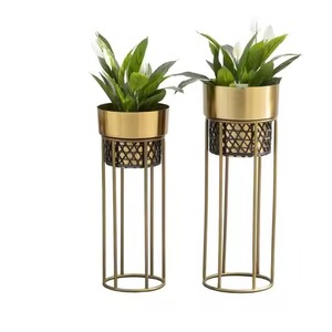 Meilleure Vente Direct Usine : Ensemble de Supports pour Plantes en Métal Laiton Brossé avec Collier en Treillis Tressé et Support Colonne en Fil Ouvert pour Décoration Intérieure - Product Image 1