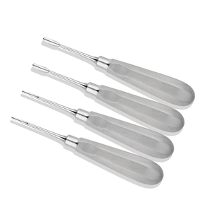 Elevador Dental Profesional de Extracción de Dientes, Recto, de Acero Inoxidable, 2.5mm, Instrumento para Rellenar Dientes - Product Image 6