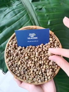 Hot Selling Premium <b>Robusta</b> Quality Green <b>Coffee</b> <b>Beans</b> Vietnam Specialty OEM/ODM Roasted GMO Grade a Ready Export - Product Image 4