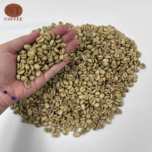 Grains de café Arabica du Vietnam de qualité supérieure, non torréfiés, en vrac, pour marque privée et OEM, destinés aux torréfacteurs - Product Image 1