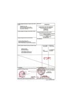 Gingembre frais jaune du Vietnam 100% Cao Bang, haute qualité, stockage frigorifique, durée de conservation de 2 ans, sac en filet de 20 kg, export alimentaire