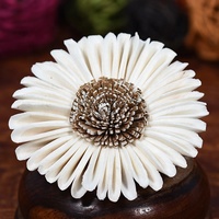 Sola Flower Diffuseur Reed Sticks Produit amical d'écho pour la décoration de la chambre et du désherbage pour tous les temps