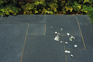 Calcaire noir Ananthapur durable avec surface rugueuse et dos calibré conçu pour une résistance antidérapante et une épaisseur constante - Product Image 5