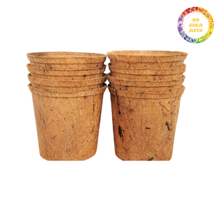 Venta al por mayor de suministros de jardinería, macetas de coco para plántulas, para el crecimiento de plantas verdes, alta calidad, al por mayor - Product Image 2