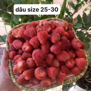 Fabricant et Fournisseur d'Extrait de Fraise Entière Lyophilisée Naturelle du Vietnam, Vente en Gros, Exportation, Haute Qualité, Service OEM - Product Image 3