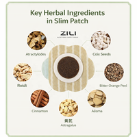 Patch minceur naturel ZILI SLP-001 hautement efficace avec tissu non tissé pour raffermir et tonifier