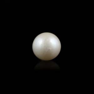 Loose Freshwater Pearl 6.95 Carat White Coin Oval Gemstone for Fine Jewelry - Product Image 1