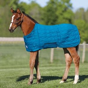 Bridas de Cuero para Caballos de Alta Calidad, Personalizadas, para Deportes Ecuestres al Aire Libre, en Oferta - Product Image 6