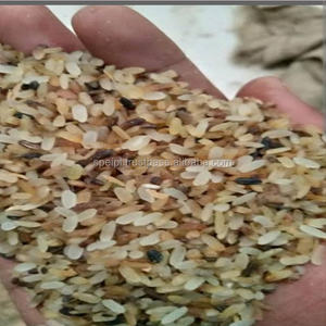 Rejet du riz d'Inde pour l'alimentation animale - Product Image 3