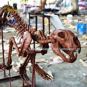 Nhà máy trực tiếp <span class=keywords><strong>Lifesize</strong></span> Đất Sét mô hình kỹ thuật khủng long hóa thạch với tùy chọn tùy biến dinosky - Product Image 3