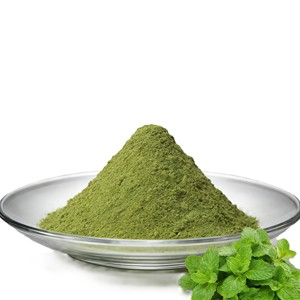 Polvo de Menta Seca 100% Puro al por Mayor, a Base de Plantas, Grado Cosmético, Favorece una Apariencia Limpia y Revitalizada - Product Image 2