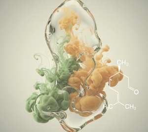 Citronelal Natural 95%+ (CT-103) Aroma Vanílico - Product Image 1