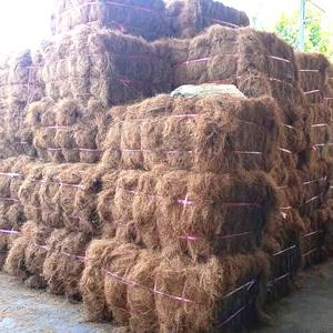 Fibra de Coco Larga y de Baja Humedad para Fabricación de Colchones en Fardos de 120 KG, Fibra de Coco Ecológica de 75 cm en Venta - Product Image 6